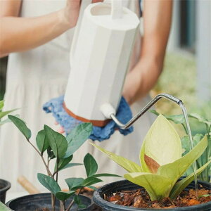 傤  W[ ~j K[fjO | ϗtA    k WE  zCg CeA X