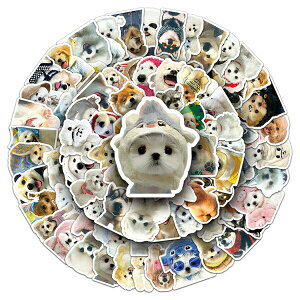 XebJ[ 100Zbg   J[XebJ[ LYB h FȂ V[ nC oCN ] X}z  蒠 ʔ  킢 M^[ ߋ zr[ a LO