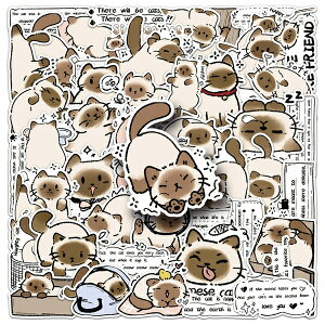 XebJ[ VlR  50Zbg a  蒠 ʔ nC h 킢 bsOp lߍ킹 M^[ ߋ X[cP[X  oCN wbg ] J[XebJ