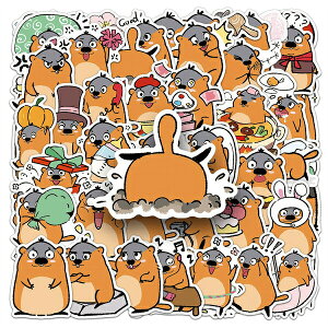 XebJ[ }[bg  50Zbg a 蒠 ʔ nC ߋ X[cP[X  oCN 킢 bsOp lߍ킹 M^[ h FȂ wbg ] J[X