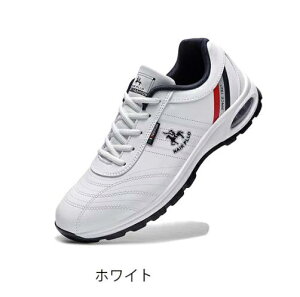 StV[Y Y C XpCNX St 3E h _炩 ~ EH[LOV[Y X|[cV[Y ϋv L j h\[ bV K ϖՐ h ₷ 