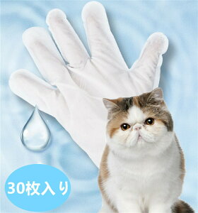 EFbg ȂłȂ ybgp LCv EFbgCv O[~OCv 30 {fB[^I ^p Lp