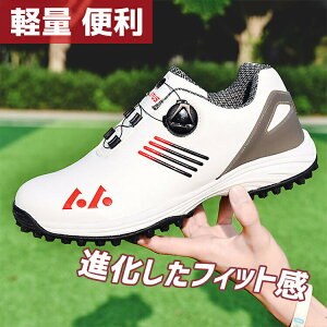 Z[ StV[Y  Y _C Xj[J[ 傫TCY 28.5cm 4E L _CXpCNX tBbg V[Y St y ₷ h ϋv K XpCN