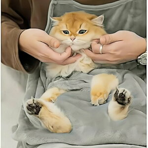 LGv LpybgGv L R ybgLQ L n[lX LɕGv hSуJo[ L xbh L  EFAuLLA Lܐ؂Gv ^pL