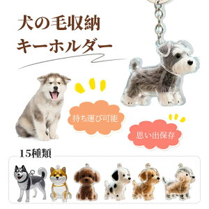 犬の毛 キーホルダー ペット 遺毛 ケース 透明 ペット 遺毛入れ 1/2個セット ペットメモリアルボトル 犬の毛収納ボトル 犬のキーホルダー 毛を保管するボトル かわいい ペットひげ・抜け毛