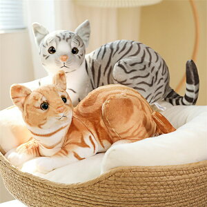 lR L Lbg ʂ  傫 A av[g ʂ CeA ̎q X  S30cm