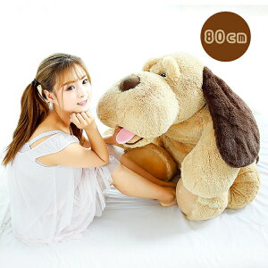  Ck ʂ NbV     ܂ ̂ʂ    ӂӂ  CeA v[g S80cm
