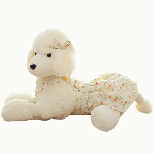 v[hʂ 傫  X^_[hv[h A { poodle  Gӂӂ ʂ ₳G  v[h ʂ  YQ Q