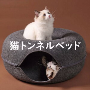 Lgl xbh tFg h[ic^ t@Xi[ a50cm V BV   `ɂ CeA ȒP t@Xi[ MTCY LTCY