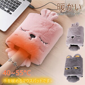 yԌ10%OFFIznhEH[}[ USB[d ԊO q[^[ ^ USBM^Cv USBd hObY ƒp ItBX Mpbh g h nhXg A[Xg O