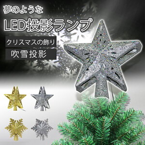 yO+10%offIzNX}X ͋C NX}Xc[gbv X^[ NX}X vWFN^[Cg 3D NX}Xc[ gbvX^[ ev