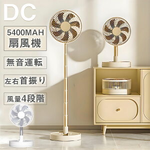 _[N[|3312~I^yU&R[hX&12Ԏz܂肽ݐ@ [d T[L[^[ 5400MAH R[hX@ rO@ @ ܂肽 ㉺蓮