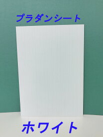 【法人様限定】プラダンシート　910x1820　ホワイト（10枚セット）（代引き不可）