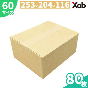 _{[ 60TCY(253x204x116) 80 I(kCEE͏)@ _{[@ i{[ _{[ z z@zp ʔ́@@[@J@t} 