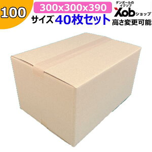 100TCY_{[ A3TCY (300x300x390) 40 ύX\ I(kCEE͏)@ z z i{[ _{[ z zp J t} ʔ [ 
