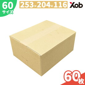 【当日出荷可能】段ボール 60サイズ（253×204×116mm）60枚セット 薄型 小物 梱包・発送・宅配用 ダンボール箱