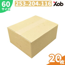 【当日出荷可能】段ボール 60サイズ（253×204×116mm）20枚セット 薄型 小物 梱包・発送・宅配用 ダンボール箱