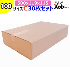100TCY@_{[C 30Zbg (500X360X115mm)@ I(kCEE͏)@ z z J t} i{[ _{[ z zp ʔ z@[@{