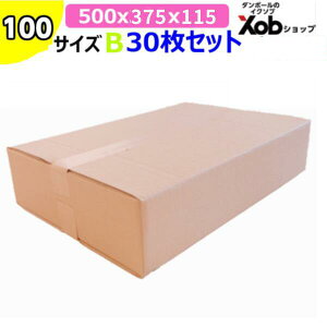 100TCY@_{[Bii{[30Zbgj@500X375X115@I(kCEE͏)@ z z i{[ _{[ z zp ʔ {