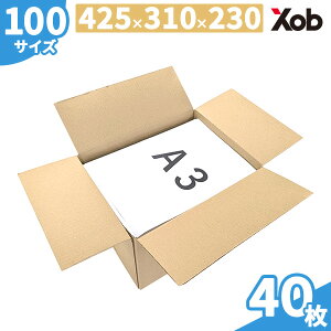 100TCY_{[ A3TCY (435X310X230) 40 I(kCEE͏)@ z z i{[ _{[ z zp @[@ʔ {