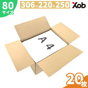 _{[ 80TCY A4 (306x220x250) 20 I(kCEE͏)@ z z J t} i{[ _{[ z zp ʔ  {