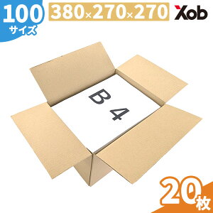 100TCY_{[ B4TCY (380x270x270) 20 I(kCEE͏)@ z z i{[ _{[ z zp ʔ z@[@@@{