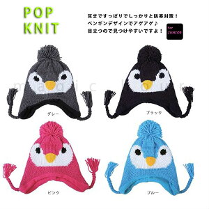  jbgLbv LbYTCY h XL[ Xm[{[h JWA ANf K[h