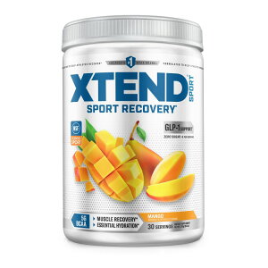 �ySCIVATION�����X�g�A�z �G�N�X�e���h �X�|�[�c BCAA ��30�� 4�t���[�o�[ Scivation XTEND SPORT BCAA Powder NSF�F��