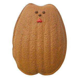 y12/8`9̓|Cg2{zMaison terrier XC[c}Olbg }h[k