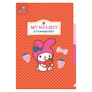 TILN^[Y t[c}[Pbg A5TCYNAt@C Ð쎆H