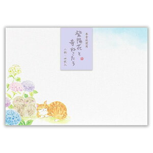 yAt^[Z[12/12܂Ń|Cg2{z ˂ zԂƎ˂A