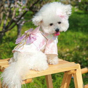   a p Lp  a Ղ  j hbOEFA ̎q K[ Ǝ { (S M L XL 2L XXL 2XL 3L 3XL)@^ ^  a LO Bep ԕ RXv RX`