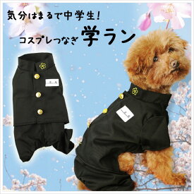 学ラン　犬服　ドッグウェア　制服　(XS・S・M・L・2L・MD-S・MD-M・3L)　アウター　ジャケット　女の子　男の子　小型犬　中型犬　大型犬　犬用　コスプレ　ハロウィン　入学式　セーラー服　ヤンキー　かっこいい　春　ブランド