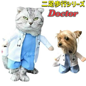 Ȃ肫 RXv p Lp ϐg nEB  hN^[ RX`[  Bep ^ ^^ p[eB[ j̎q ̎q ybg pi ybgpi 킢 񑫕s z[