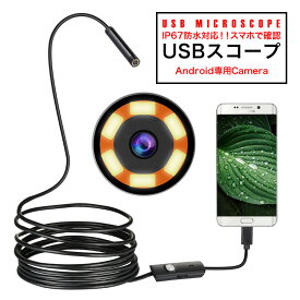 楽天市場 マイクロスコープ Usbの通販