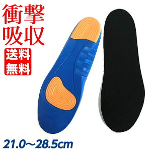 21.0`28.5cmΉ TCY Ռ z C\[ Ռz ~ NbV C Y fB[X Xj[J[ u[  PK2