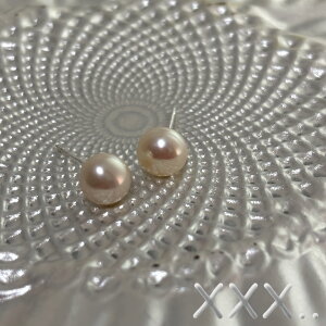 y[֑zWp[ sAX   w Ǝ ꗱp[ Vv i fB[X ANZT[ p164 xxx..