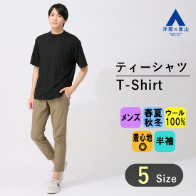 【洋服の青山】尾州産地 ウール100% Tシャツ メンズ S-3L オールシーズン ブラック 黒 無地 半袖 モックネック 天竺編み ハンドウォッシュ 手洗い ドレープ 光沢感 大きいサイズ かっこいい おしゃれ アクティビズ ACTIBIZ