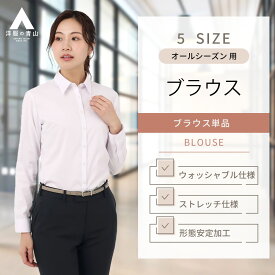 【洋服の青山】レディース ブラウス オールシーズン用 ピンク系 レギュラーカラーブラウス 長袖 OEKO-TEX 女性 婦人服 トップス シャツ ビジネス カジュアル オフィスカジュアル 洗える ストレッチ 伸縮 形態安定 おしゃれ 可愛い かわいい ANCHOR WOMAN PERSON'S