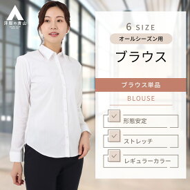 【洋服の青山】レディース ブラウス オールシーズン用 グレー系 レギュラーカラーブラウス 長袖 OEKO-TEX 女性 婦人服 トップス シャツ ビジネス オフィスカジュアル 長袖 ストライプ ストライプ 形態安定 おしゃれ かわいい きれい 上品 洗える ANCHOR WOMAN PERSON'S