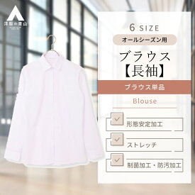 【洋服の青山】アイロン不要 綿100％ NON IRONMAX ノーアイロン ブラウス 長袖 オールシーズン パープル系 紫 ストライプ レギュラーカラー 形態安定 ストレッチ 制菌 防汚 ビジネス オフィス 事務服 高級感 きれいめ かわいい おしゃれ NONIRONMAX シワになりにくい