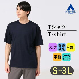 【洋服の青山】尾州産地 ウール100% Tシャツ メンズ S-3L オールシーズン ネイビー 紺 無地 半袖 クルーネック 天竺編み ハンドウォッシュ 手洗い ドレープ 光沢感 大きいサイズ かっこいい おしゃれ アクティビズ ACTIBIZ