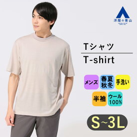 【洋服の青山】尾州産地 ウール100% Tシャツ メンズ S-3L オールシーズン ベージュ 無地 半袖 モックネック 天竺編み ハンドウォッシュ 手洗い ドレープ 光沢感 大きいサイズ かっこいい おしゃれ アクティビズ ACTIBIZ