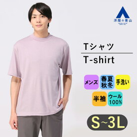 【洋服の青山】尾州産地 ウール100% Tシャツ メンズ S-3L オールシーズン パープル 紫 無地 半袖 モックネック 天竺編み ハンドウォッシュ 手洗い ドレープ 光沢感 大きいサイズ かっこいい おしゃれ アクティビズ ACTIBIZ