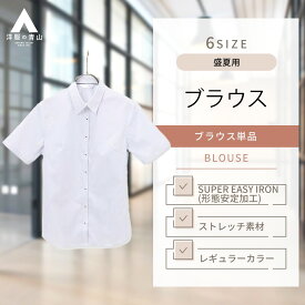 【洋服の青山】ブラウス レディース ブラウス 盛夏用 ネイビー系 レギュラーカラー 半袖 OEKO-TEX 女性 ストライプ ストレッチ ビジネス インターン オフィスカジュアル 洗える 形態安定 シンプル おしゃれ かわいい 上品 ANCHOR WOMAN PERSON'S 841