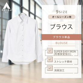 【洋服の青山】 レディース ブラウス 洗える オールシーズン用 グレー系 レギュラーカラーブラウス【長袖】【OEKO-TEX】【着丈長め】女性 婦人服 トップス 形態安定 ストレッチ 消臭加工 ストライプ かわいい おしゃれ 脇下消臭テープ コンシール釦 ANCHOR WOMAN PERSON'S