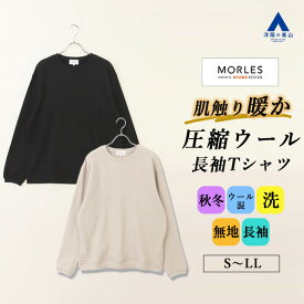 【洋服の青山】クルーネック Tシャツ 長袖 メンズ 秋冬 冬 ブラック ベージュ 黒 無地 丸首 暖かい 保温 洗える ウール混 ラムウール カジュアル ビジカジ オフィス ビジネス 部屋着 ルームウェア 男性 長そで 長袖Tシャツロンt ロングtシャツ トップス ティーシャツ