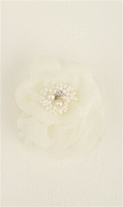 ym̐RzsŒZtzCgn RT[W tH[}  ܎O w  Ǝ  ̖т̏ XJ[t~ 2WAY