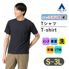 【洋服の青山】Tシャツ メンズ 半袖 大きいサイズ 春夏 ネイビー 紺 鹿の子 EASYCARE ウォッシャブル洗える リブ衿 ポリエステル100% トップス メンズファッション ティーシャツ おしゃれ かっこいい アクティブポロシャツ ACTIBIZ