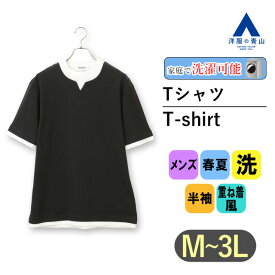 【洋服の青山】フェイクレイヤードキーネックTシャツ 半袖 メンズ クールビズ 春夏 ブラック 黒 無地 ウォッシャブル 洗える 重ね着風 トップス 手軽 紳士 ビジネス カジュアル ビジカジ シンプル かっこいい おしゃれ REGAL シャツ カジュアル 厚手 大きいサイズ